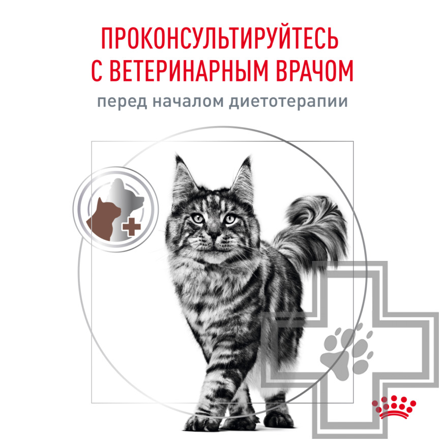Royal Canin Gastrointestinal Royal Canin Gastrointestinal