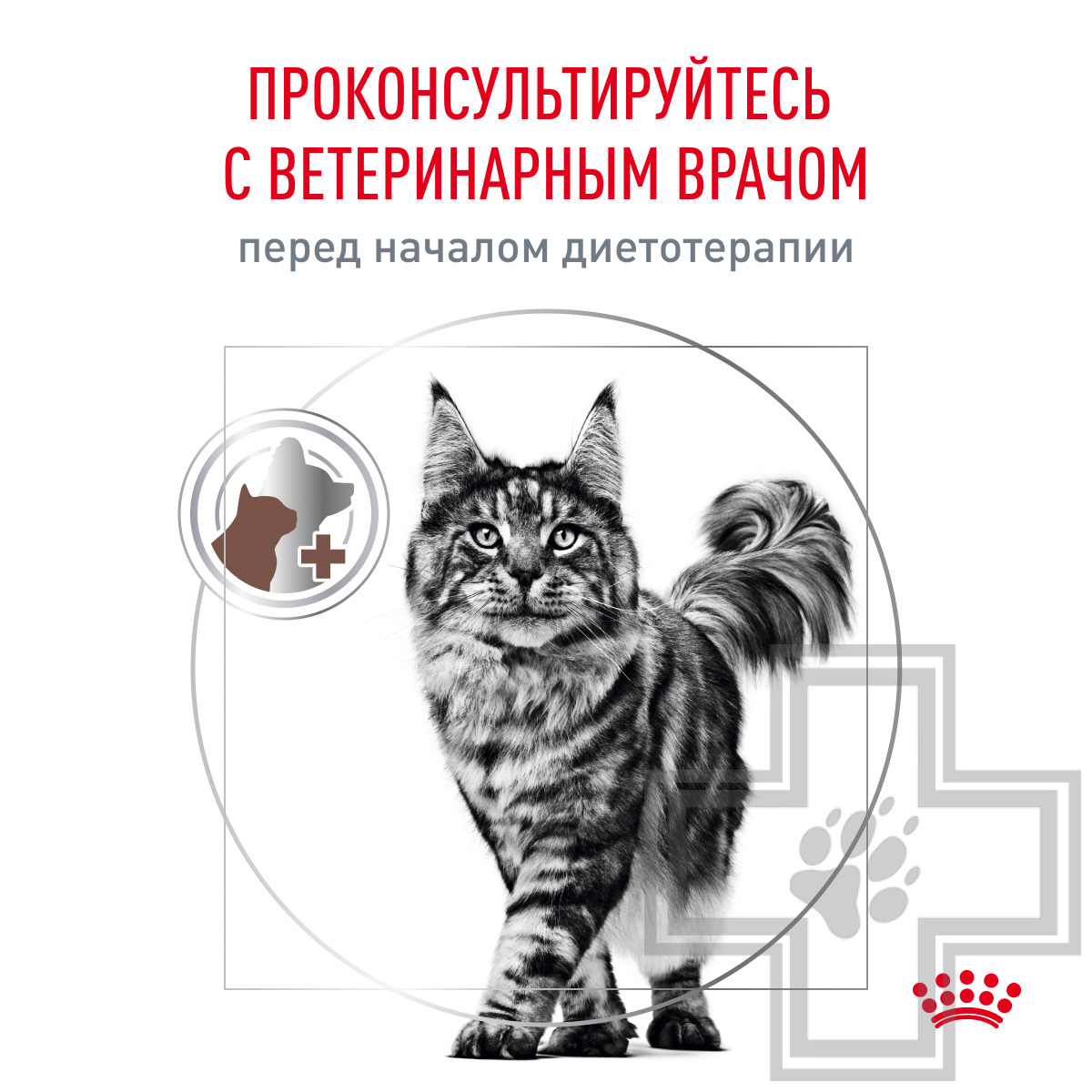 Royal Canin Gastrointestinal
