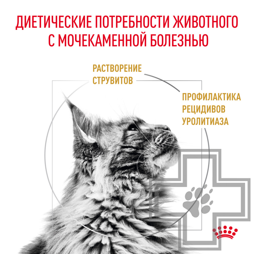 Royal Canin Urinary S/O Royal Canin Urinary S/O