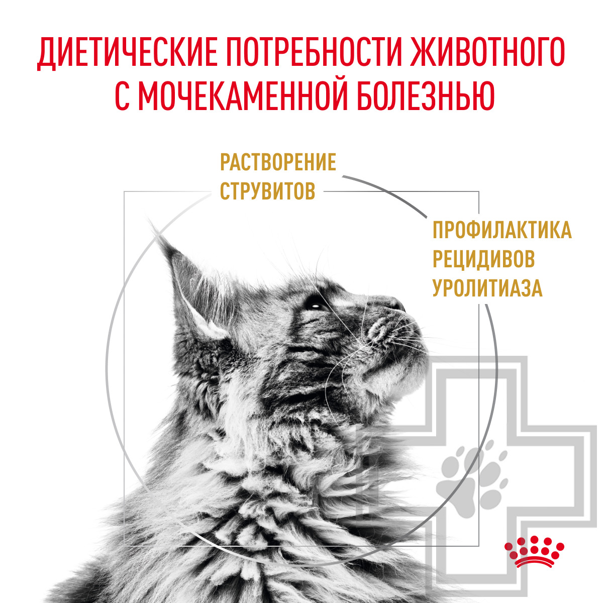 Royal Canin Urinary S/O