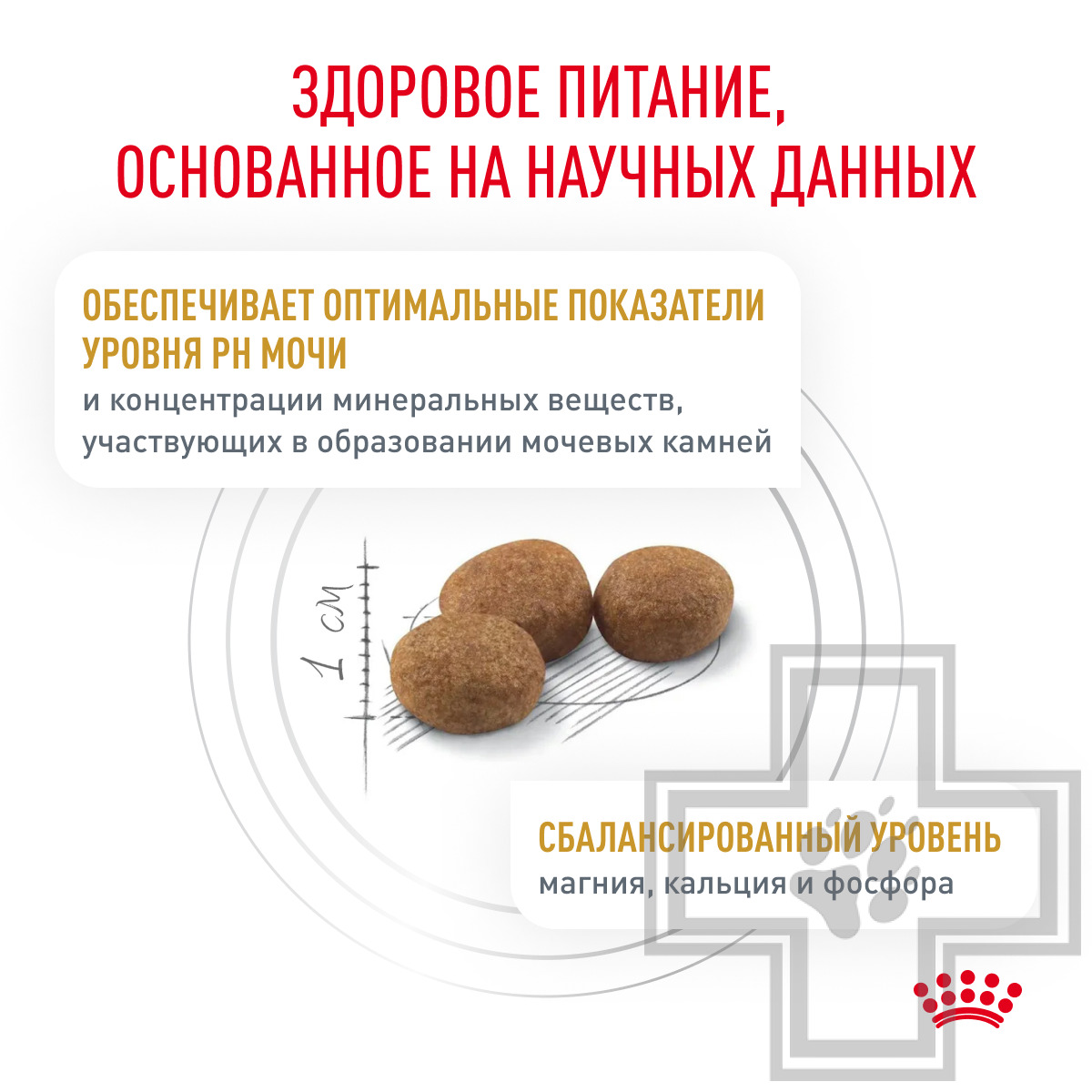 Royal Canin Urinary S/O