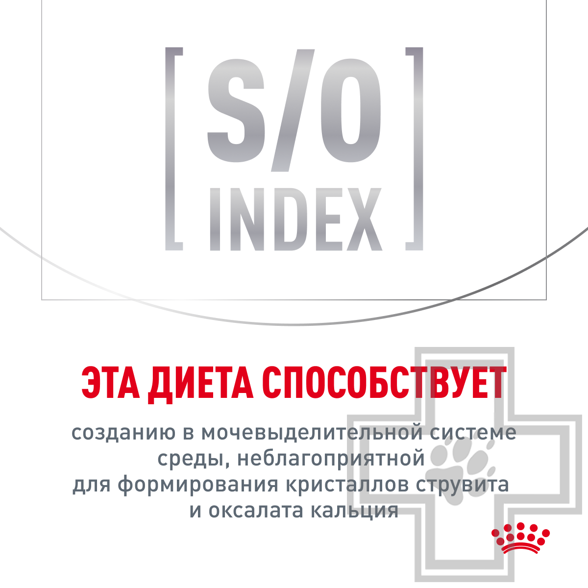 Royal Canin Urinary S/O