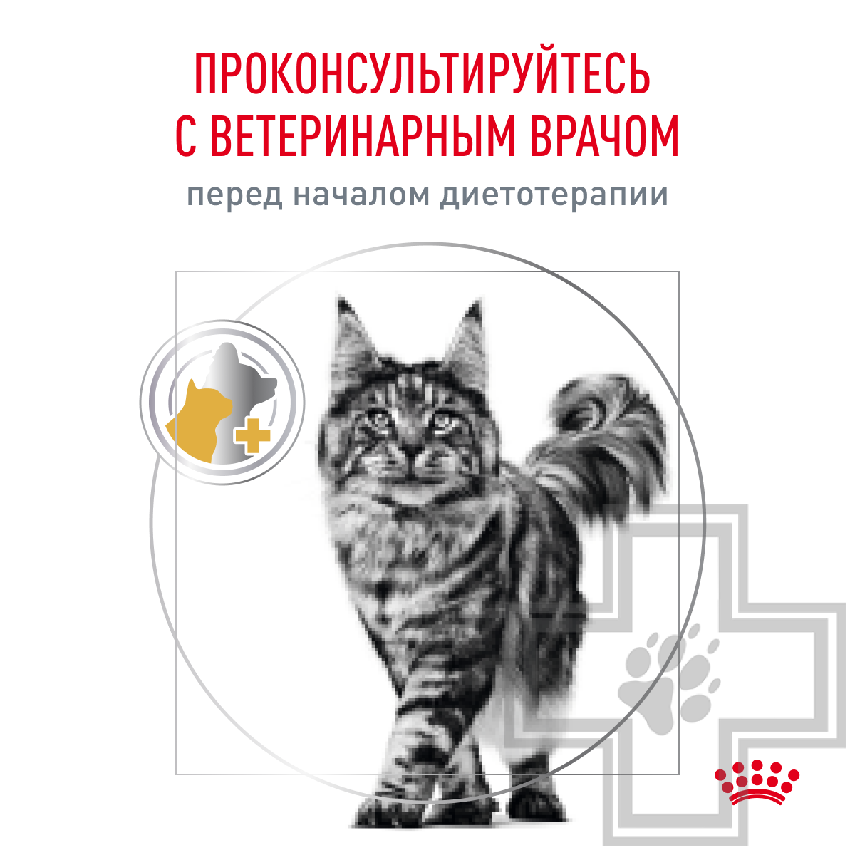 Royal Canin Urinary S/O