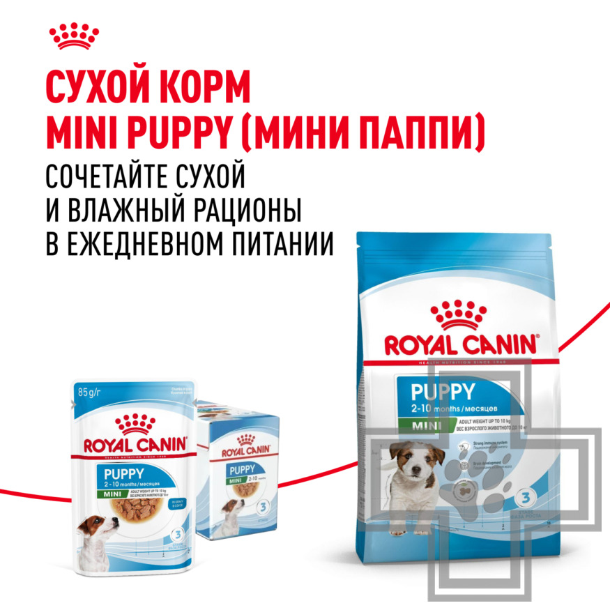 Royal Canin Mini Puppy