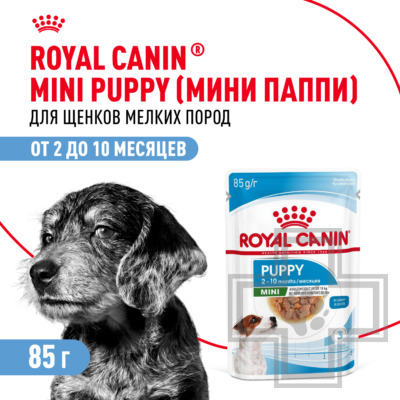Royal Canin Mini Puppy
