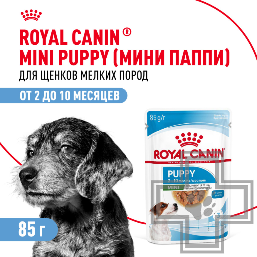 Royal Canin Mini Puppy