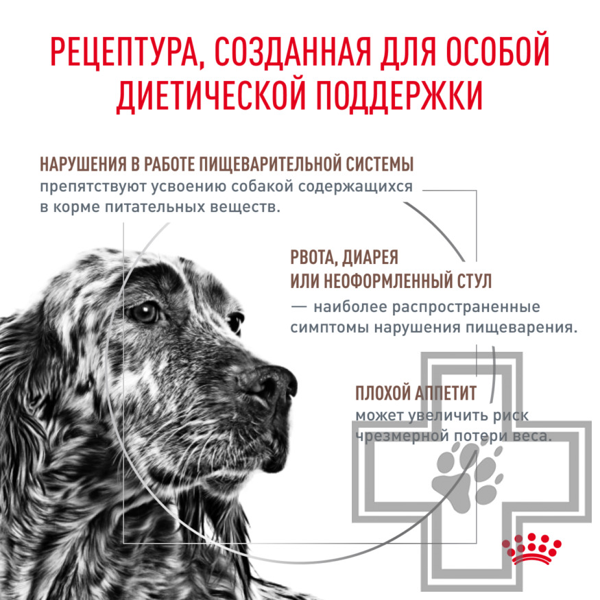 Royal Canin Gastro Intestinal Royal Canin Gastro Intestinal