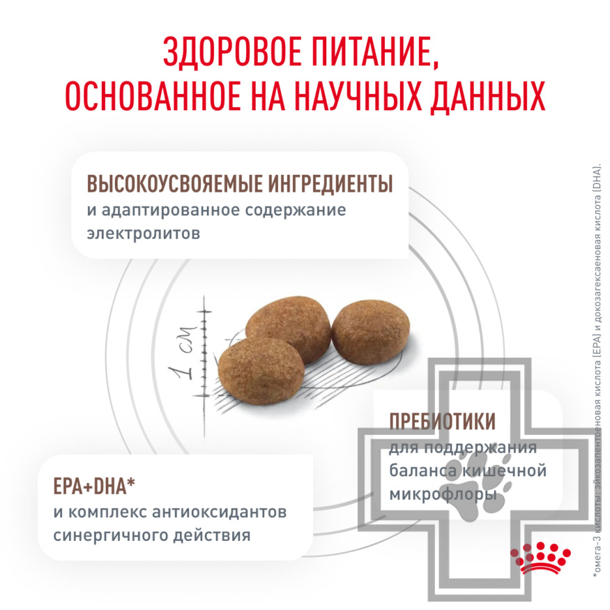 Royal Canin Gastro Intestinal Royal Canin Gastro Intestinal