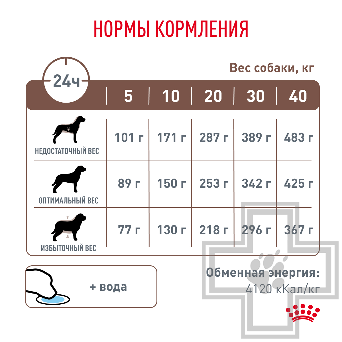 Royal Canin Gastro Intestinal