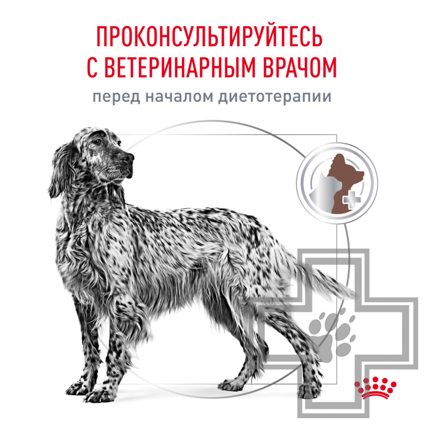 Royal Canin Gastro Intestinal Royal Canin Gastro Intestinal