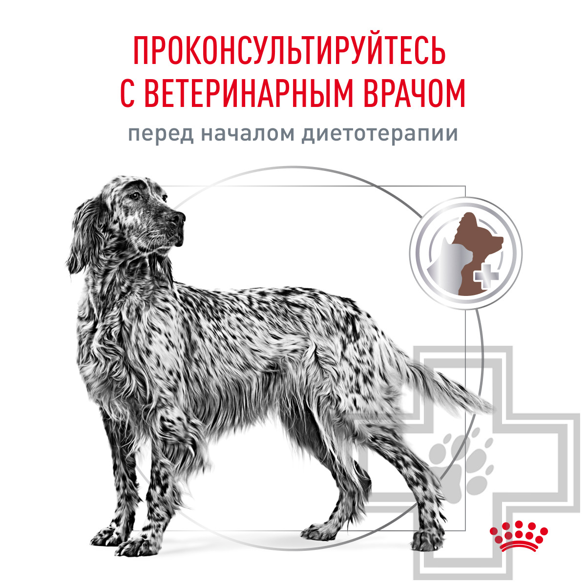 Royal Canin Gastro Intestinal