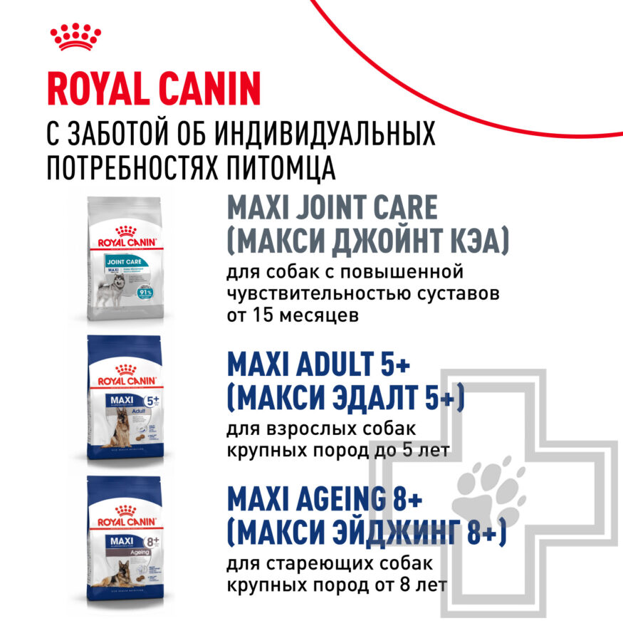 Royal Canin Maxi Adult Royal Canin Maxi Adult