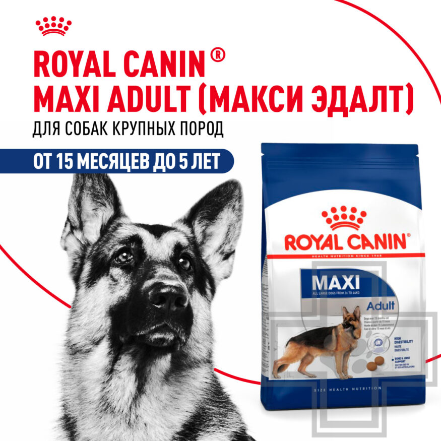 Royal Canin Maxi Adult