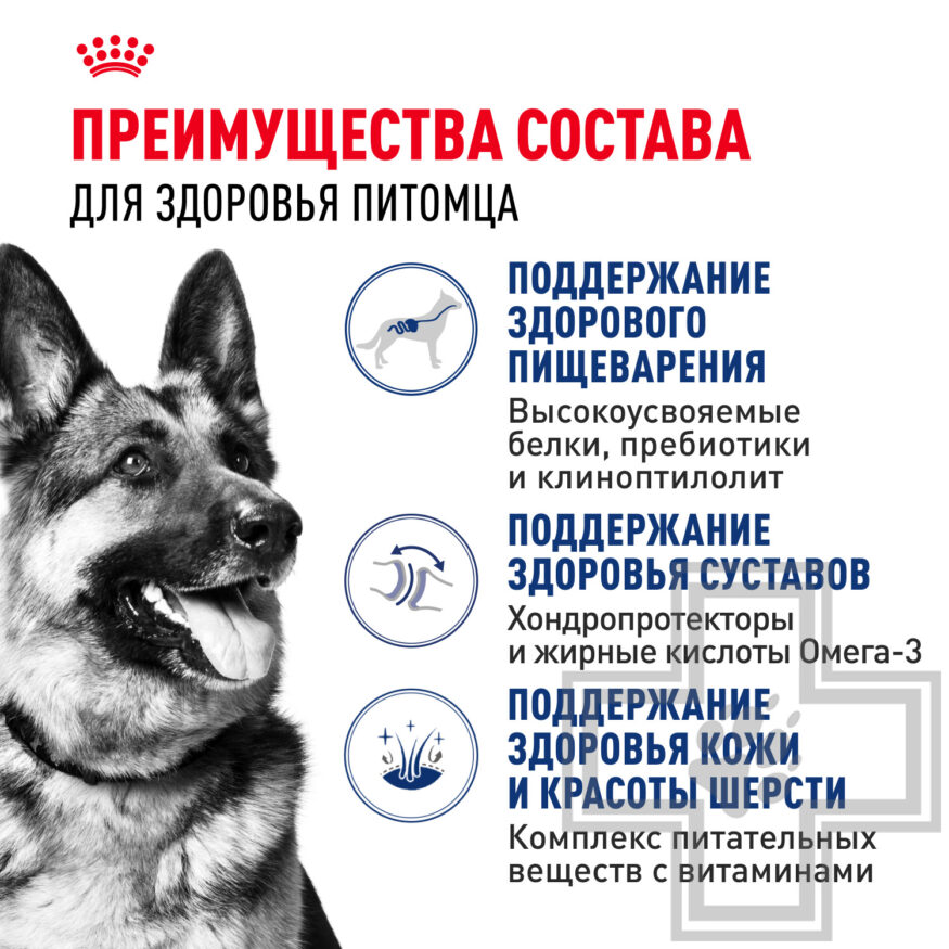 Royal Canin Maxi Adult Royal Canin Maxi Adult