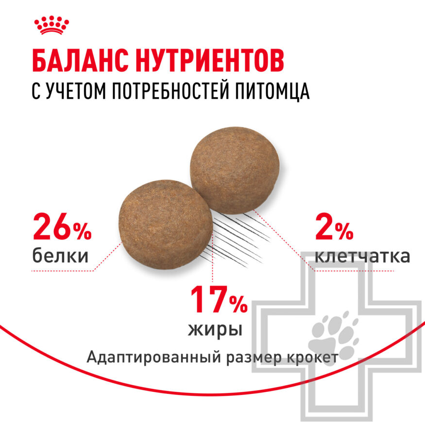 Royal Canin Maxi Adult Royal Canin Maxi Adult