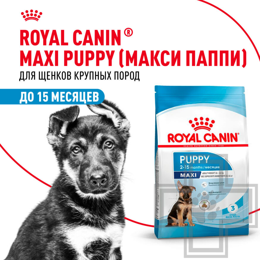 Royal Canin Maxi Puppy Royal Canin Maxi Puppy