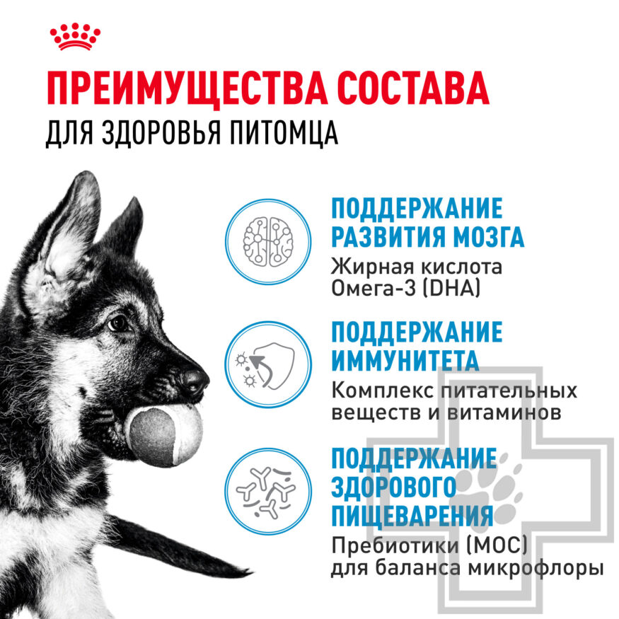 Royal Canin Maxi Puppy Royal Canin Maxi Puppy