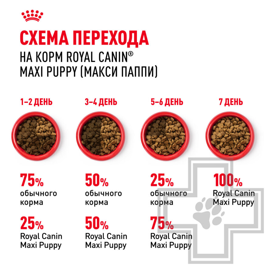 Royal Canin Maxi Puppy