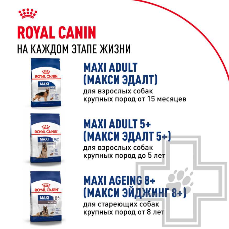 Royal Canin Maxi Puppy