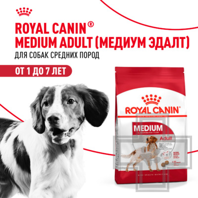 Royal Canin Medium Adult