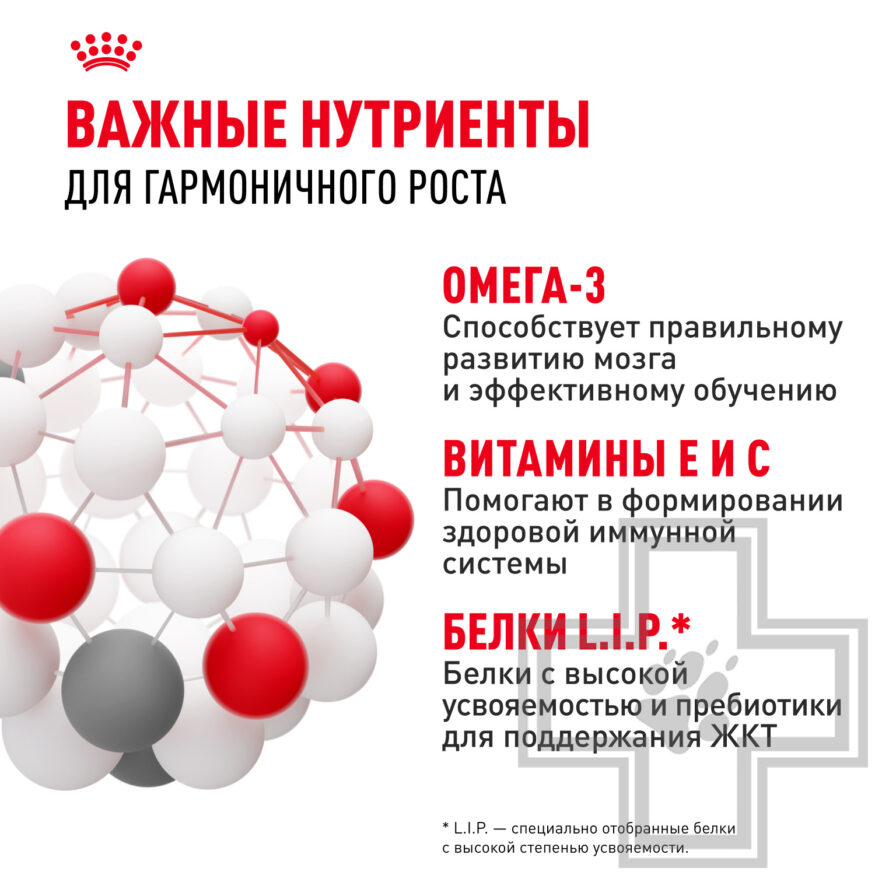 Royal Canin Medium Puppy Royal Canin Medium Puppy