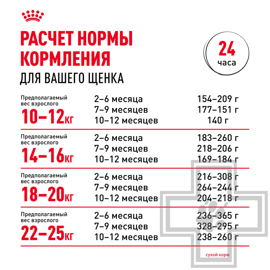 Royal Canin Medium Puppy Royal Canin Medium Puppy