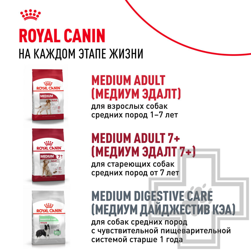 Royal Canin Medium Puppy