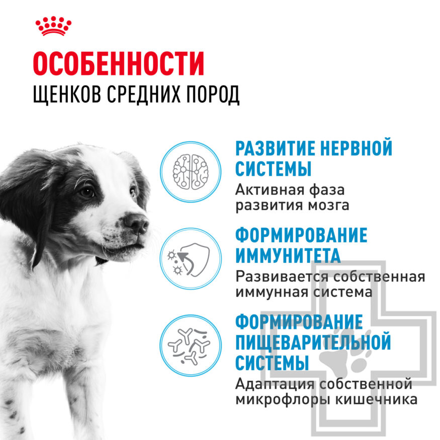 Royal Canin Medium Puppy Royal Canin Medium Puppy