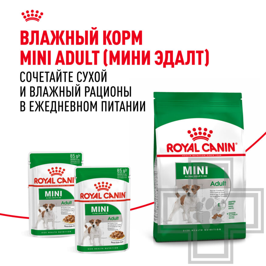 Royal Canin Mini Adult