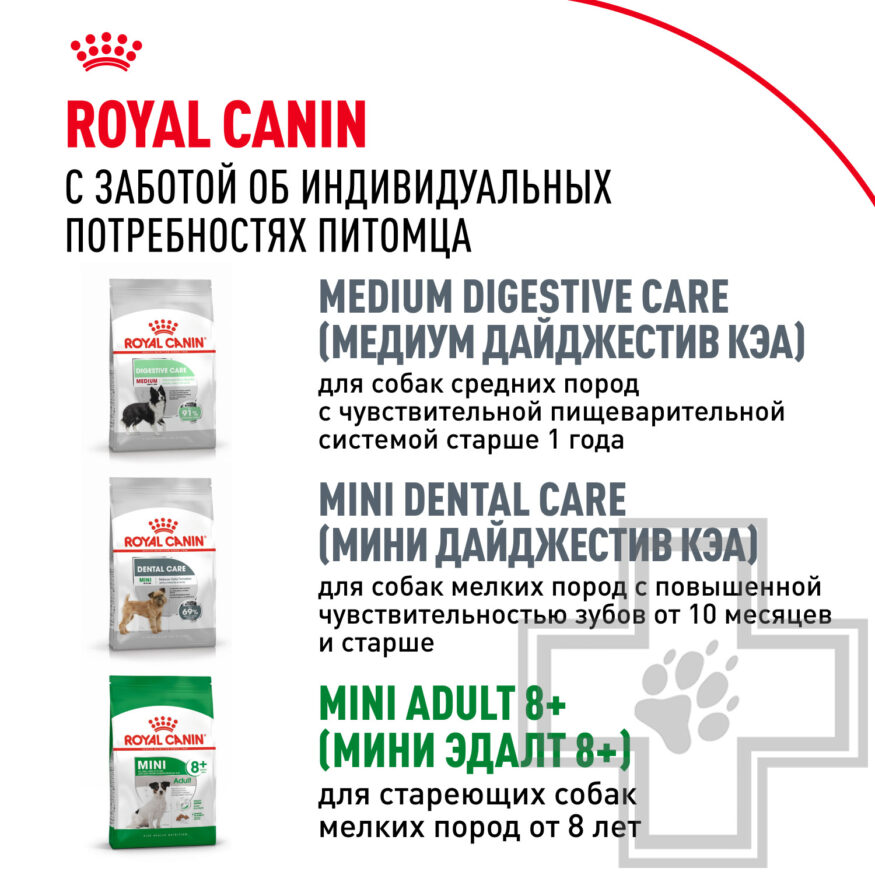 Royal Canin Mini Adult