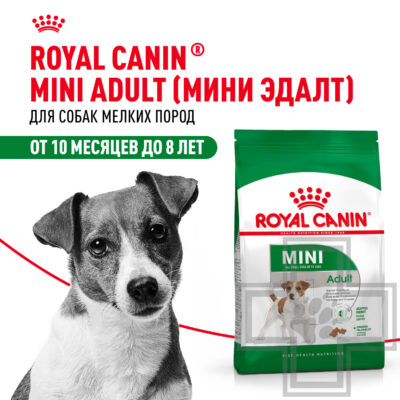 Royal Canin Mini Adult