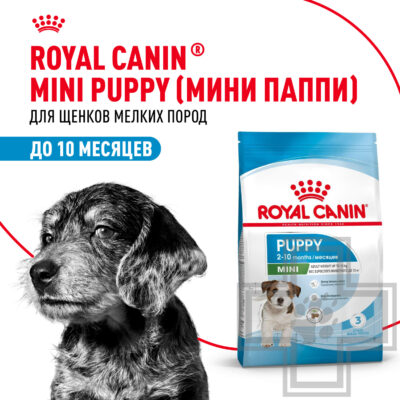 Royal Canin Mini Puppy
