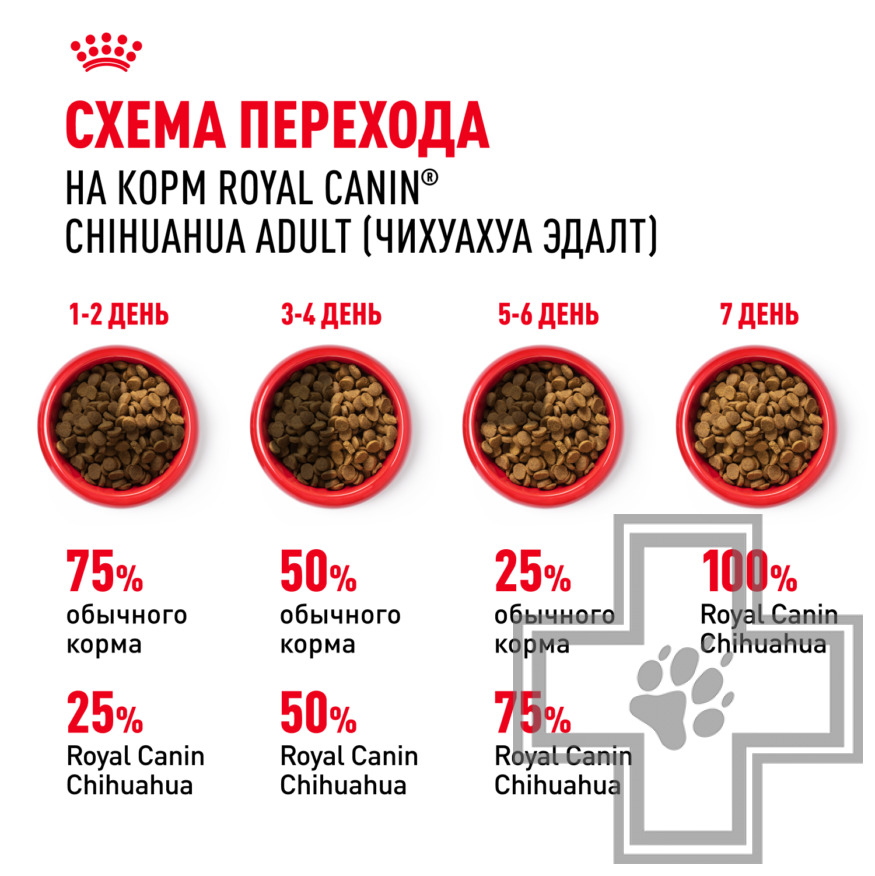 Royal Canin Chihuahua Adult