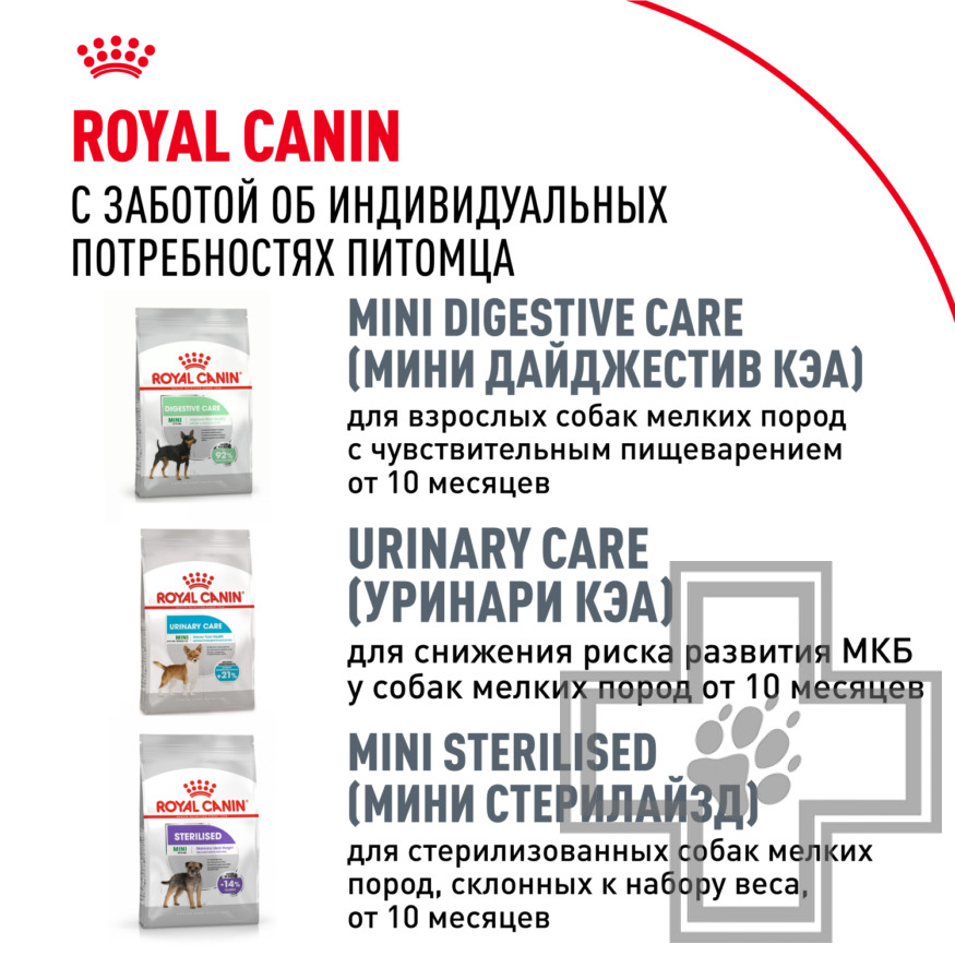 Royal Canin Chihuahua Adult