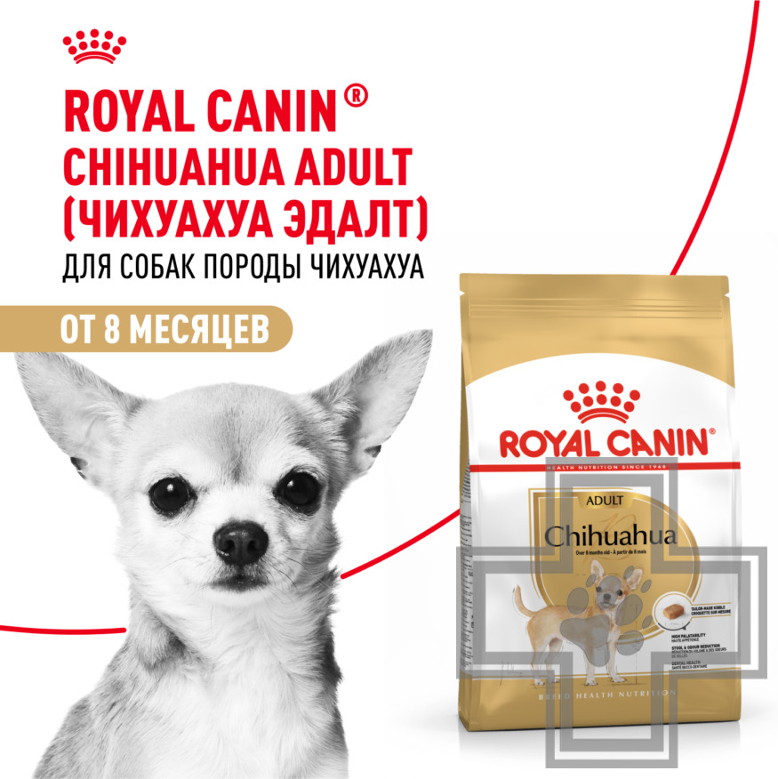 Royal Canin Chihuahua Adult