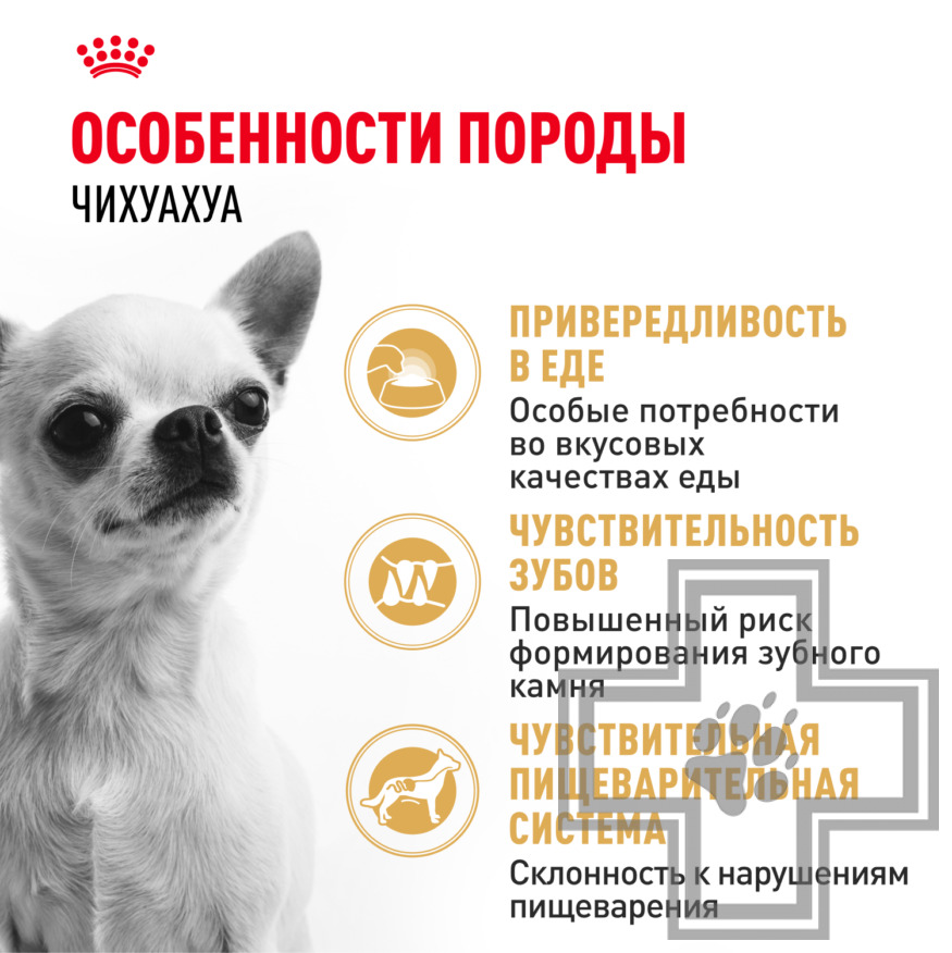 Royal Canin Chihuahua Adult