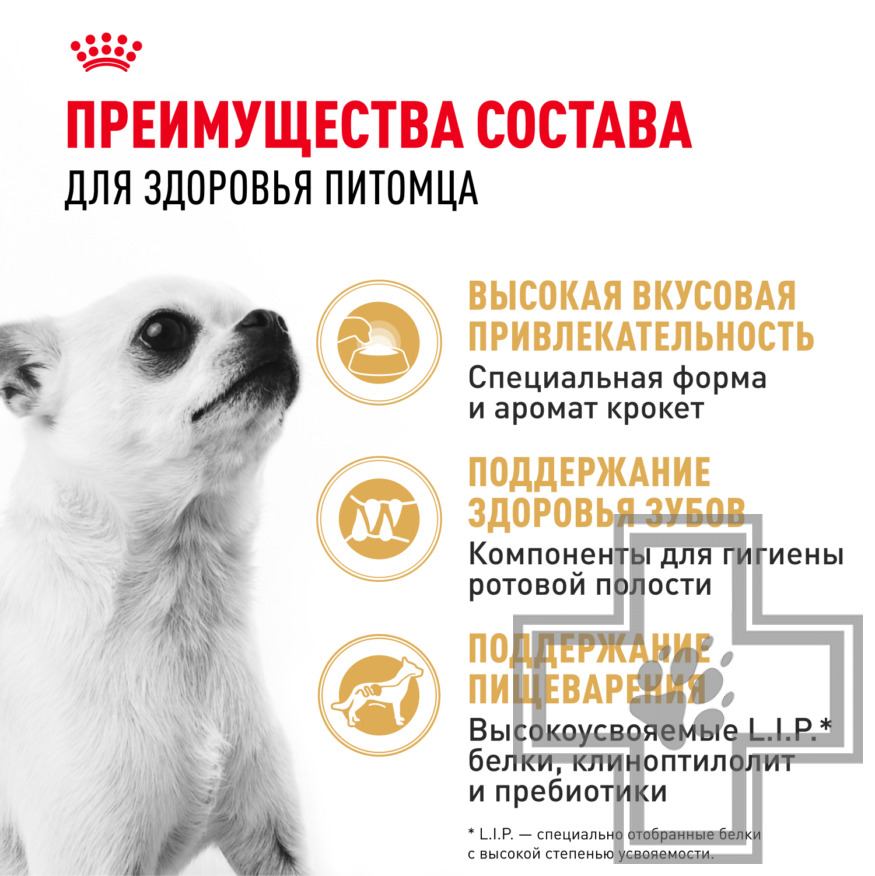 Royal Canin Chihuahua Adult