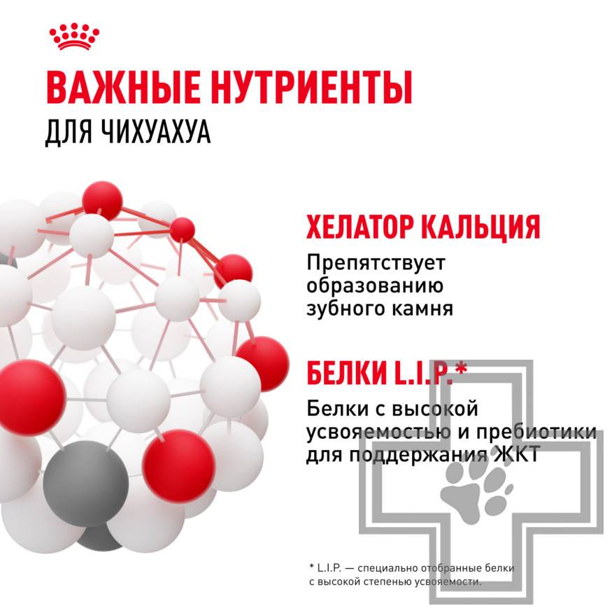 Royal Canin Chihuahua Adult