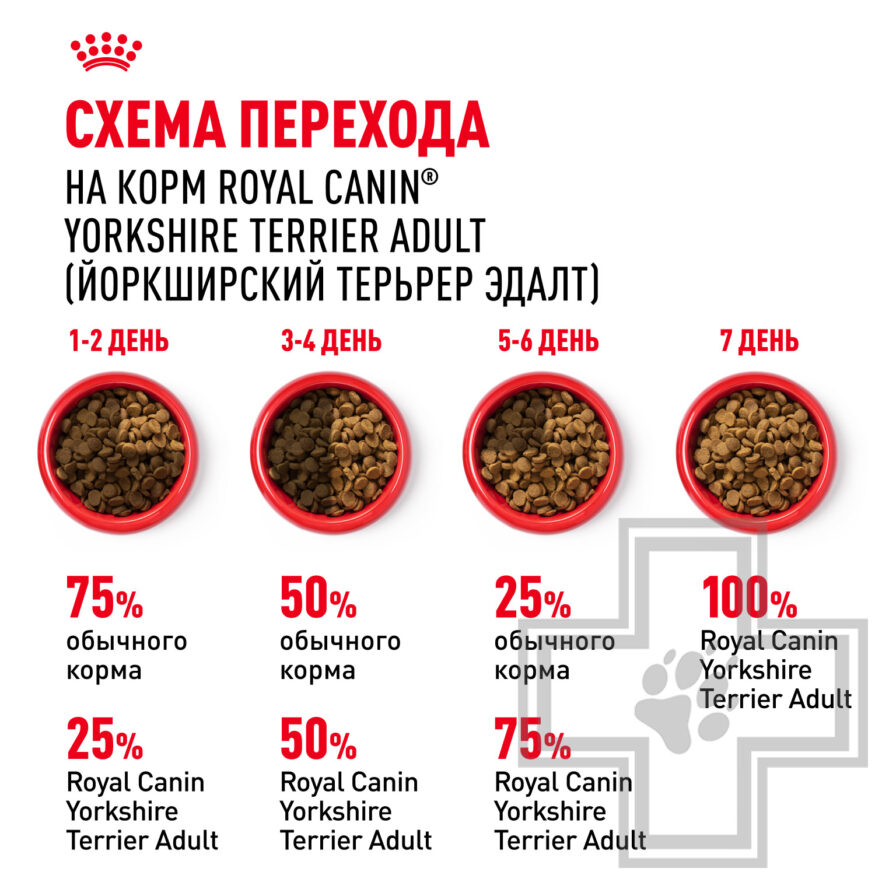 Royal Canin Yorkshire Terrier Adult Royal Canin Yorkshire Terrier Adult