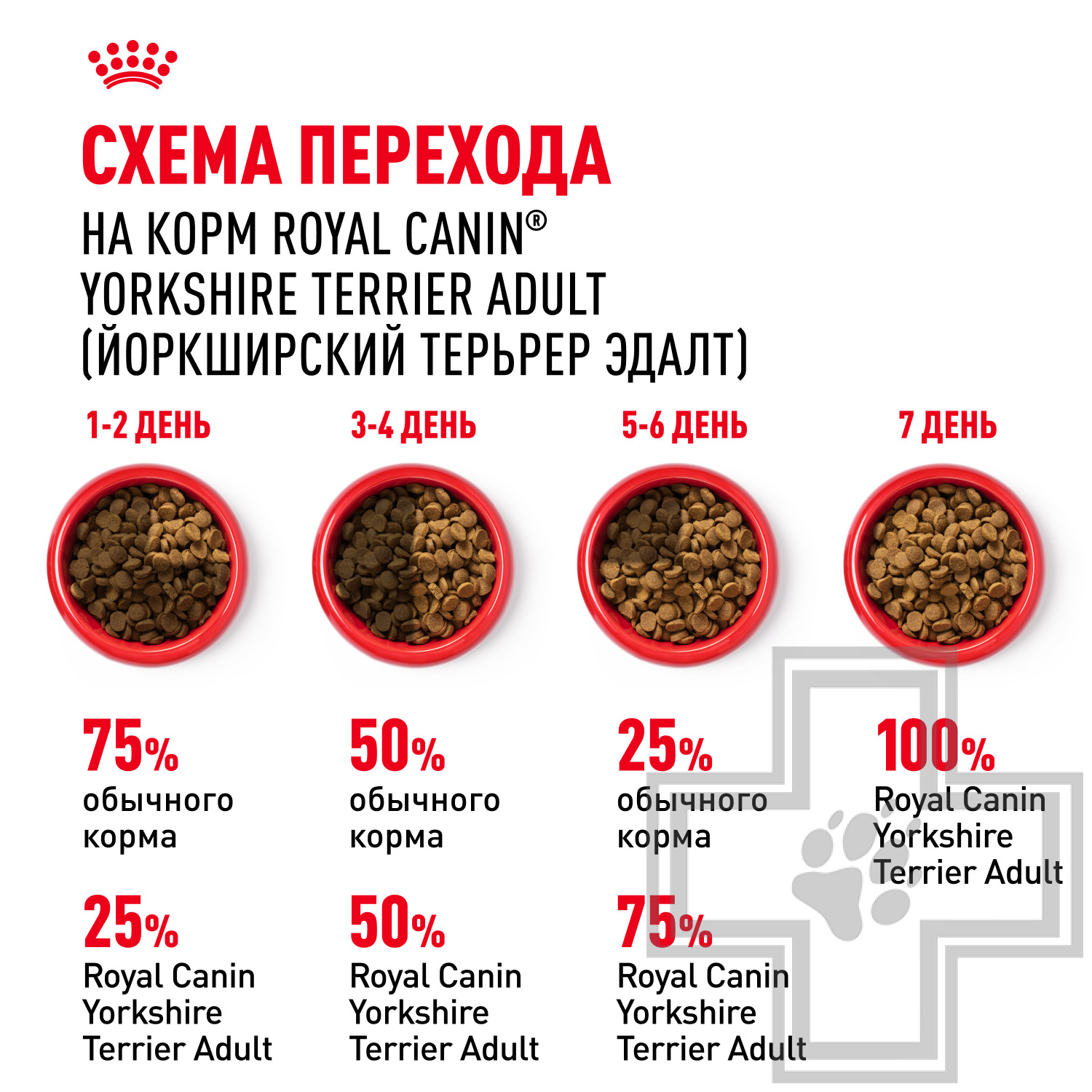 Royal Canin Yorkshire Terrier Adult