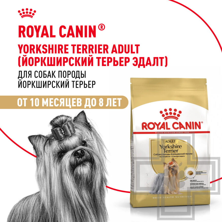 Royal Canin Yorkshire Terrier Adult Royal Canin Yorkshire Terrier Adult