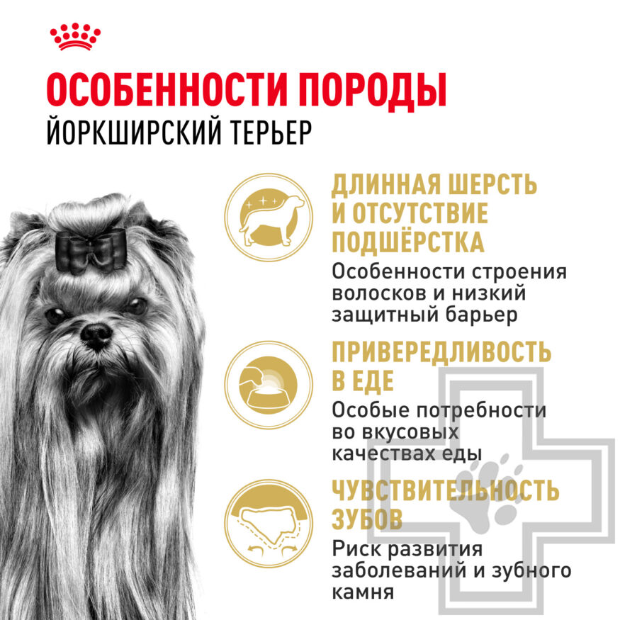 Royal Canin Yorkshire Terrier Adult Royal Canin Yorkshire Terrier Adult