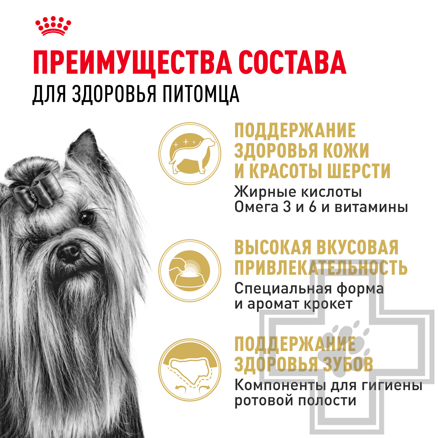 Royal Canin Yorkshire Terrier Adult