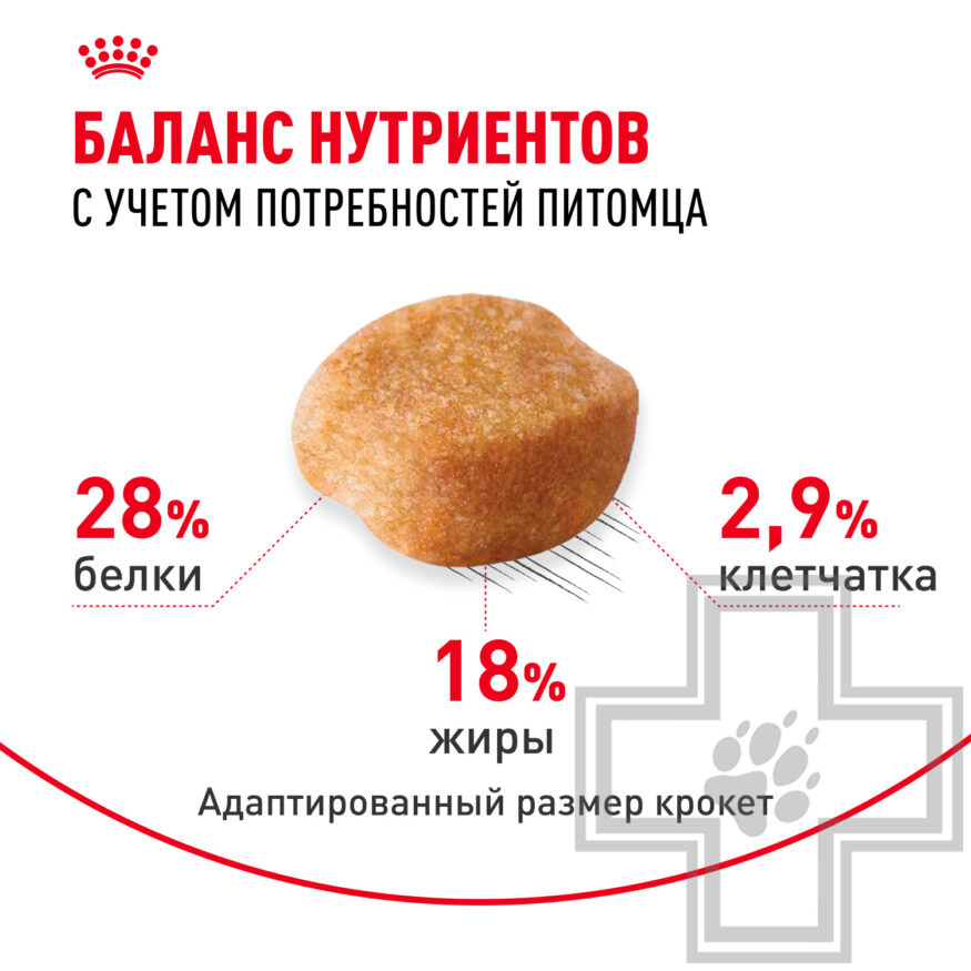 Royal Canin Yorkshire Terrier Adult Royal Canin Yorkshire Terrier Adult