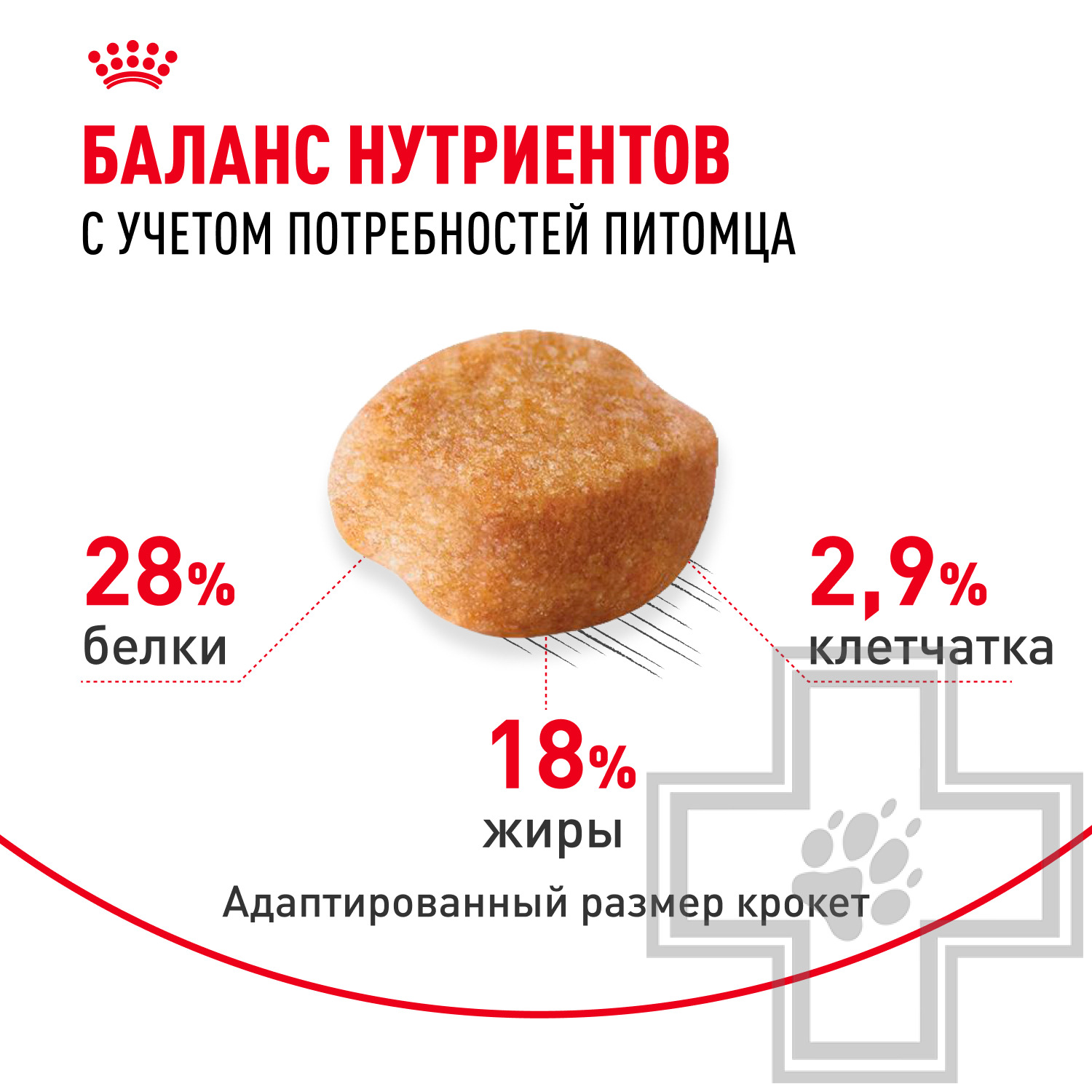 Royal Canin Yorkshire Terrier Adult