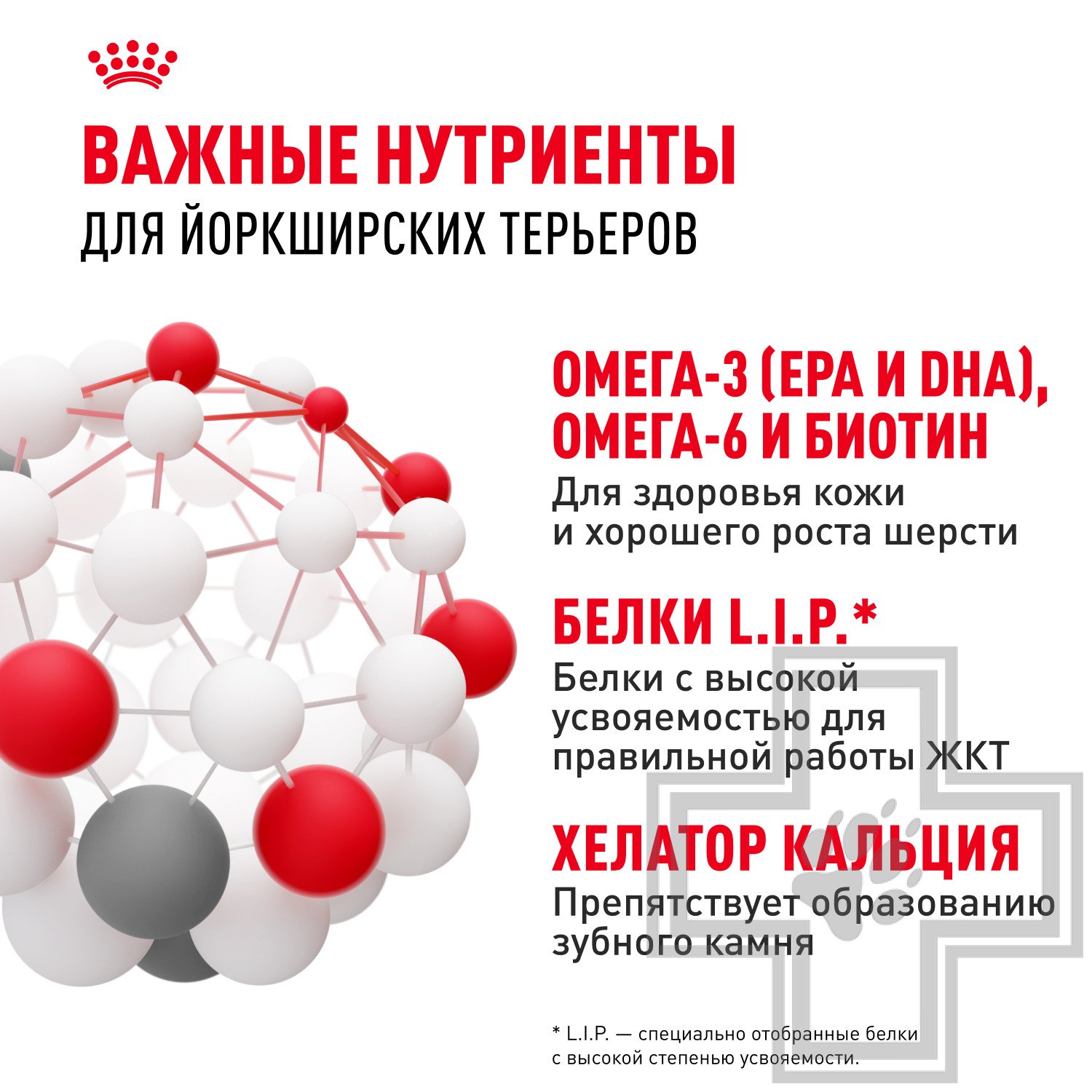 Royal Canin Yorkshire Terrier Adult