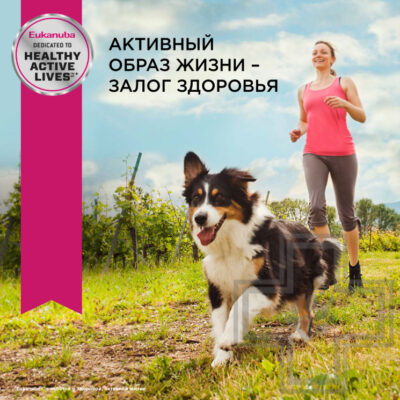 Eukanuba Adult Пресервы для взрослых собак всех пород, из ягненка в соусе