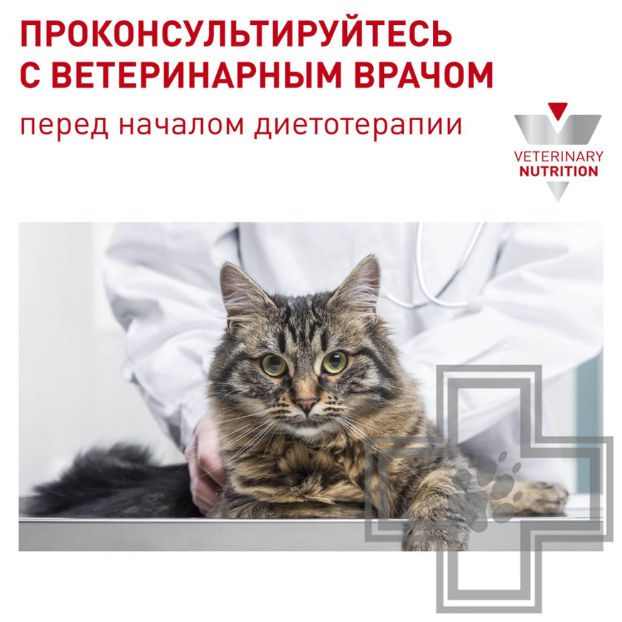 Royal Canin Neutered Maintenance Пресервы-диета для взрослых кошек для поддержания мышечной массы