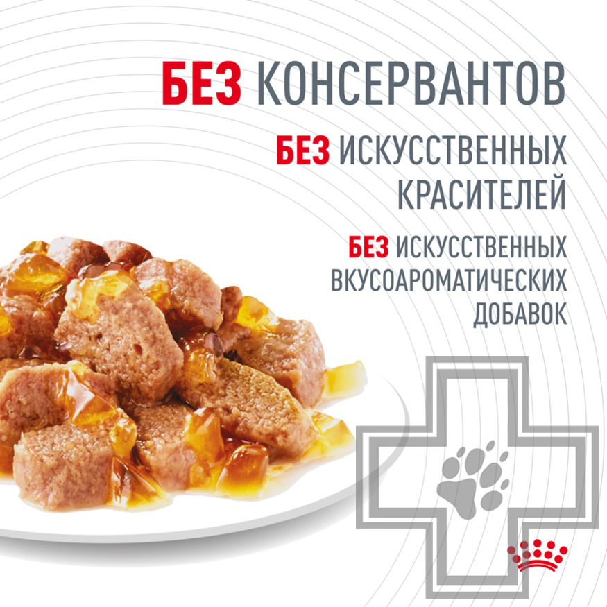 Royal Canin Hair & Skin Care Пресервы для взрослых кошек для поддержания кожи и шерсти, в желе