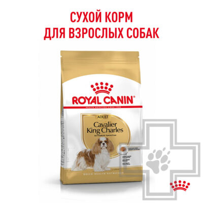 Royal Canin Cavalier King Charles Adult Корм для взрослых собак породы Кавалер кинг чарльз спаниель